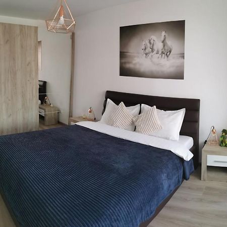 Marimonti Apartment Brašov Exteriér fotografie