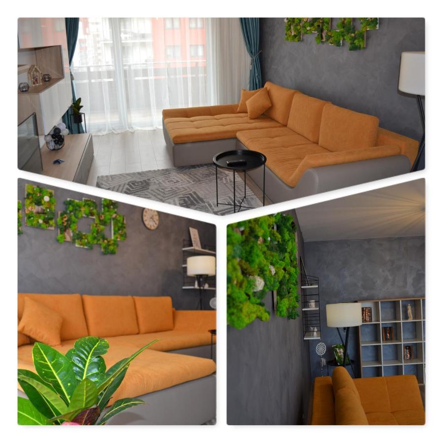 Marimonti Apartment Brašov Exteriér fotografie